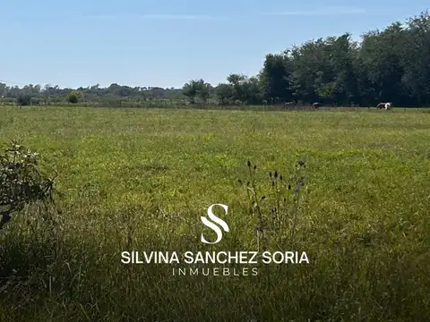 5 HAS EN VENTA, PAVON CERCA DE LOS CARDALES
