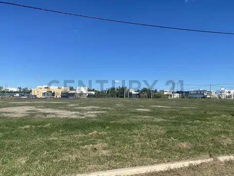 Terreno en Venta 41  mts Fondo