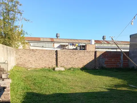 Alem 100