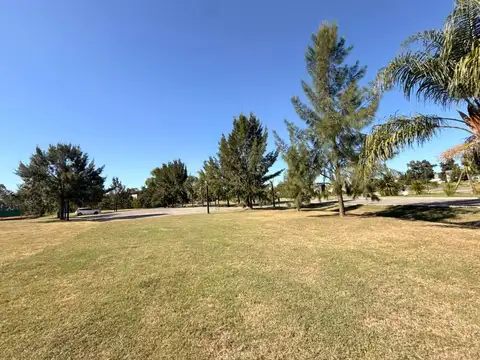 Terreno en Venta de 981,0 m2