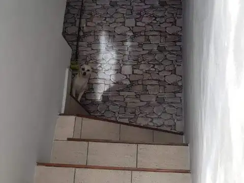 Tres Arroyos 2000 , Piso 1