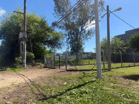 Avenida 137