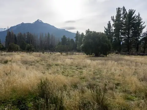 Tu Refugio Patagónico en Epuyén – Lote de 5.000 m²