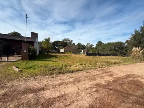 Calle los Alamos