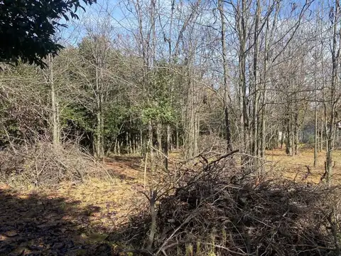 Terreno en Venta en Los Molles, USD 26.000