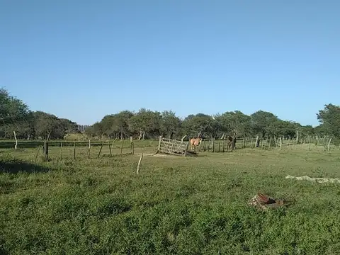 CAMPO 117 HS. EXCELENTE ZONA AGICOLA GANADERA SOBRE RUTA 26