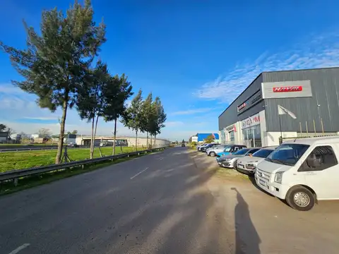 Bartrina 1000