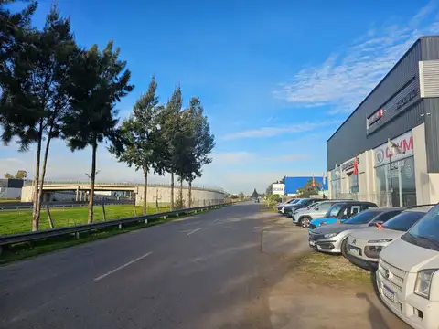 Bartrina 1000