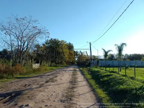 Calle Carcaraña