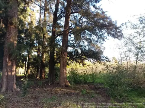 Terreno en Venta de 3750,0 m2