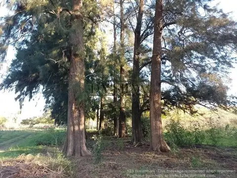 Terreno en Venta en Marcos Paz, USD 60.000