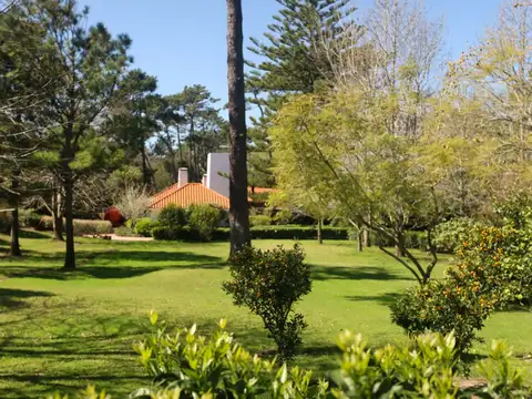 Impresionante casa en parada 20 de la Brava, jardín 6000m2