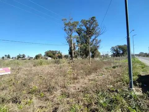 Terrenos y Lotes en Venta en La Plata [Cod: ]