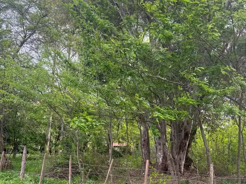 Terreno en Venta de 1404,0 m2