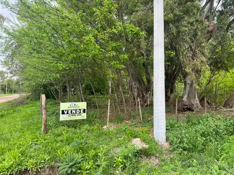 Terreno en Venta 56  mts Frente