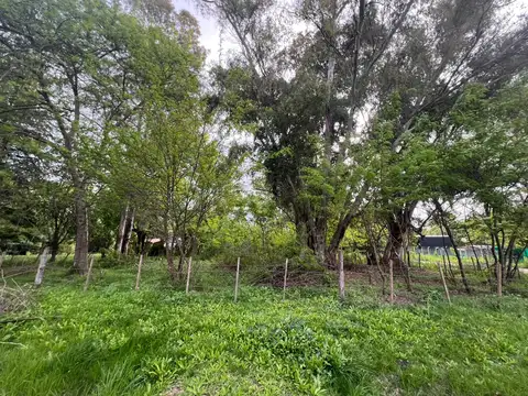 Terreno en Venta 25  mts Fondo
