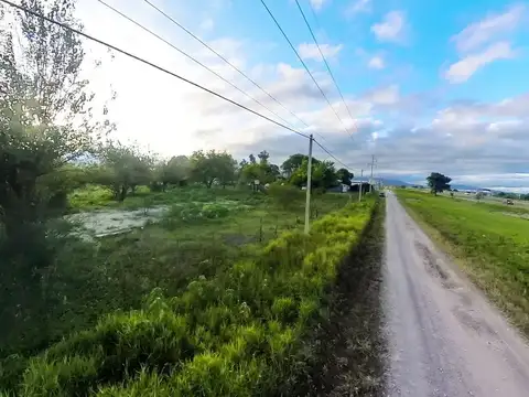 TERRENO EN ALQUILER  ZONA SAN LUIS  1 HECTAREA