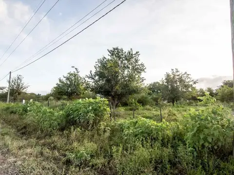 Zona San Luis. Avenida Circunvalación Oeste