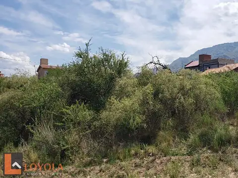 Ejercito De Los Andes