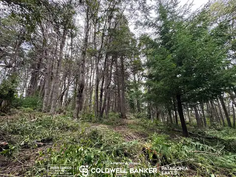 Terreno en Venta en Selva Triste, USD 35.000