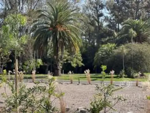 Terreno en Venta de 365,0 m2