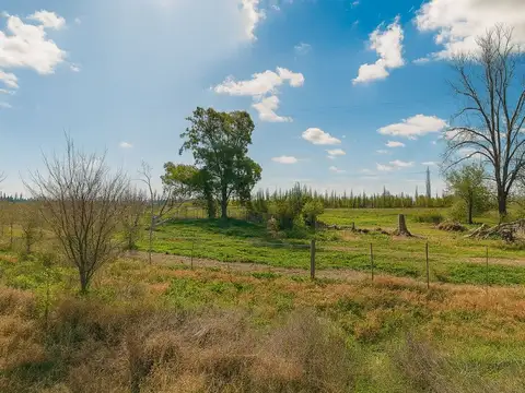 Lote 1.5 Ha en San Rafael apto proyecto