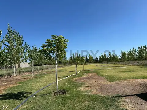 Terreno en Venta de 2045,0 m2
