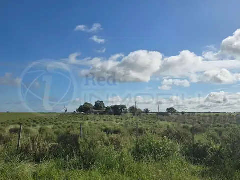 Colonia El Potrero Uno