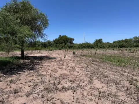 VENTA CAMPO 13 HECTAREAS ZONA VILLA ESQUIU