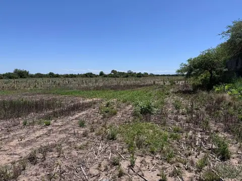 VENTA CAMPO 13 HECTAREAS ZONA VILLA ESQUIU