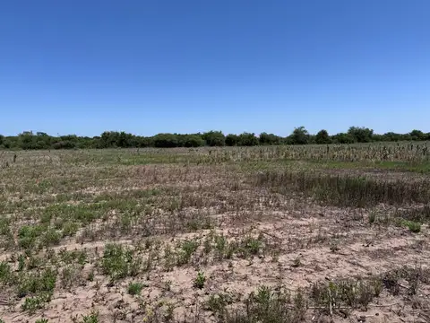 Camino a santa rosa 100