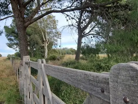 VENTA HECTARES  MEDANOS SOBRE  LA RUTA 22 