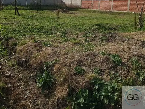 423 bis y Camino Real