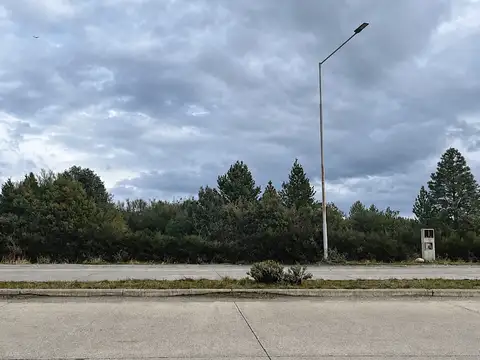 Lote en alquiler zona comercial Bariloche