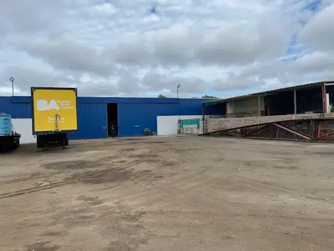 Avenida Dardo Rocha  al 3300