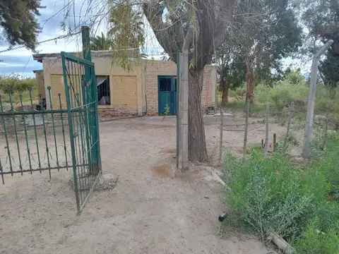 Finca con producción. Uva y Membrillos. 25 de mayo