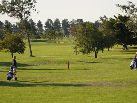 Ruta 34 km 10,5, S2142 Ibarlucea, Santa Fe