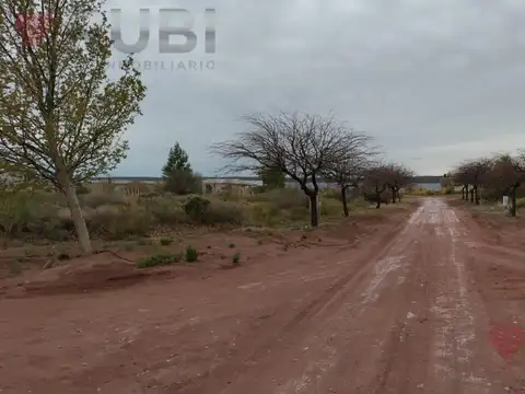 Terreno en Venta 37  mts Fondo