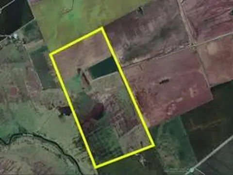 Campo en Venta en Coronel Bogado, Rosario