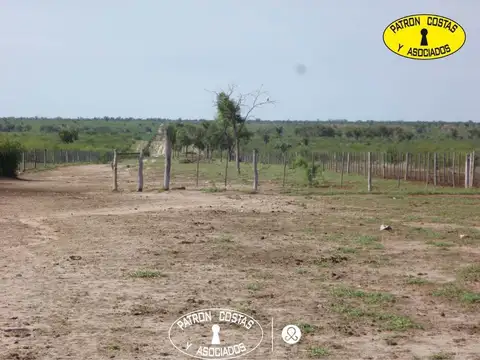 16947 HAS CATAMARCA - RECREO