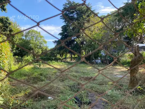 TERRENO EN VENTA EN MASCHWITZ  - MAROTO PROPIEDADES