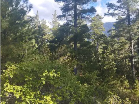 El Monje y Ruta Nacional 40