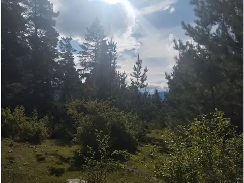 (058B) EL HOYO ( El Pedregoso), Terreno de 6Has