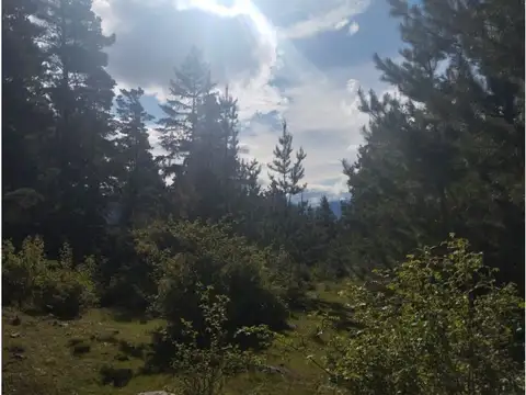 Terreno en Venta de 160000,0 m2