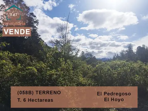 (058B) EL HOYO ( El Pedregoso), Terreno de 6Has