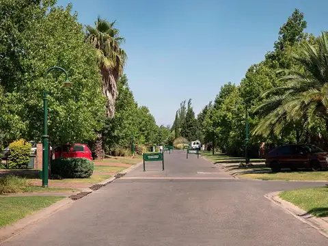 Barrancas de San José al 800