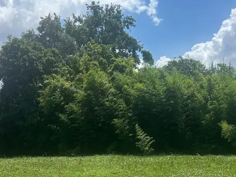 Terreno en Venta 60  mts Fondo