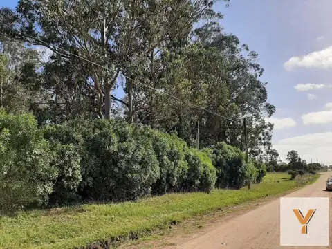 Terreno en Venta 43  mts Fondo