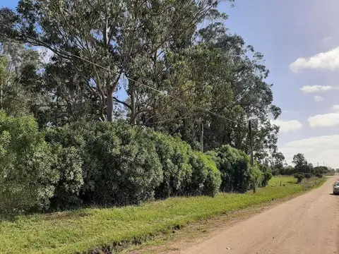 Terreno en Venta 43  mts Fondo