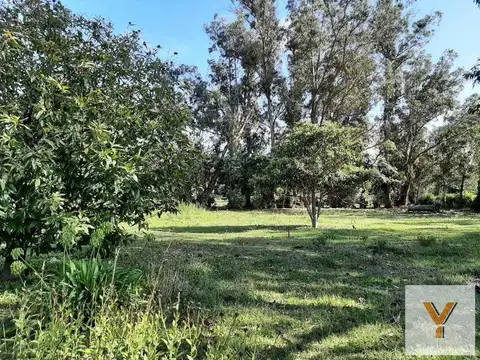 54 y 39